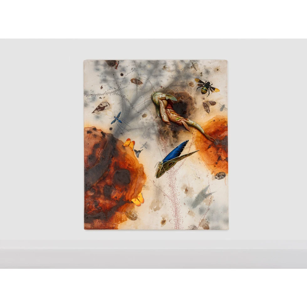 <a href="https://ueshima-collection.com/artist-list/190" style="color:inherit">ALEXIS ROCKMAN</a>:The Riverbed