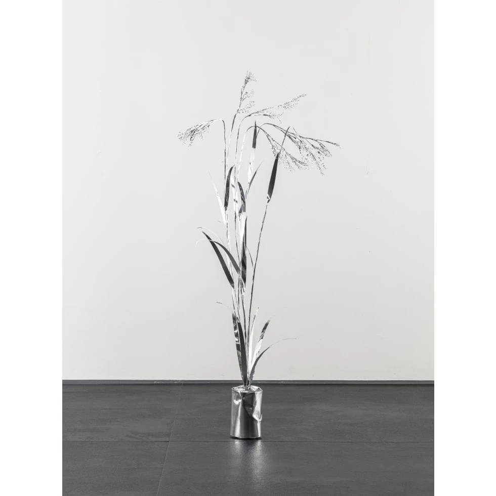 <a href="https://ueshima-collection.com/artist-list/214" style="color:inherit">TOSHIHIKO MITSUYA</a>:The Aluminium Garden -Structural Studies of Plants- Bromus remotiflorus