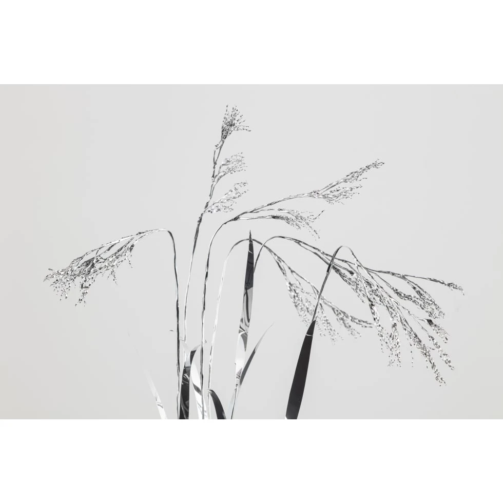 <a href="https://ueshima-collection.com/artist-list/214" style="color:inherit">TOSHIHIKO MITSUYA</a>:The Aluminium Garden -Structural Studies of Plants- Bromus remotiflorus