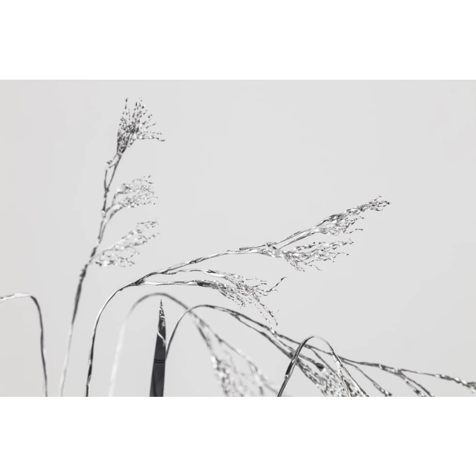 <a href="https://ueshima-collection.com/artist-list/214" style="color:inherit">TOSHIHIKO MITSUYA</a>:The Aluminium Garden -Structural Studies of Plants- Bromus remotiflorus