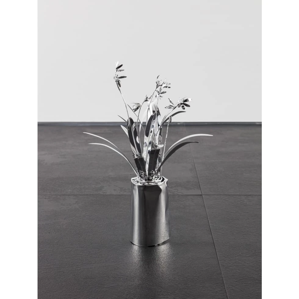 The Aluminium Garden -Structural Studies of Plants- star flower