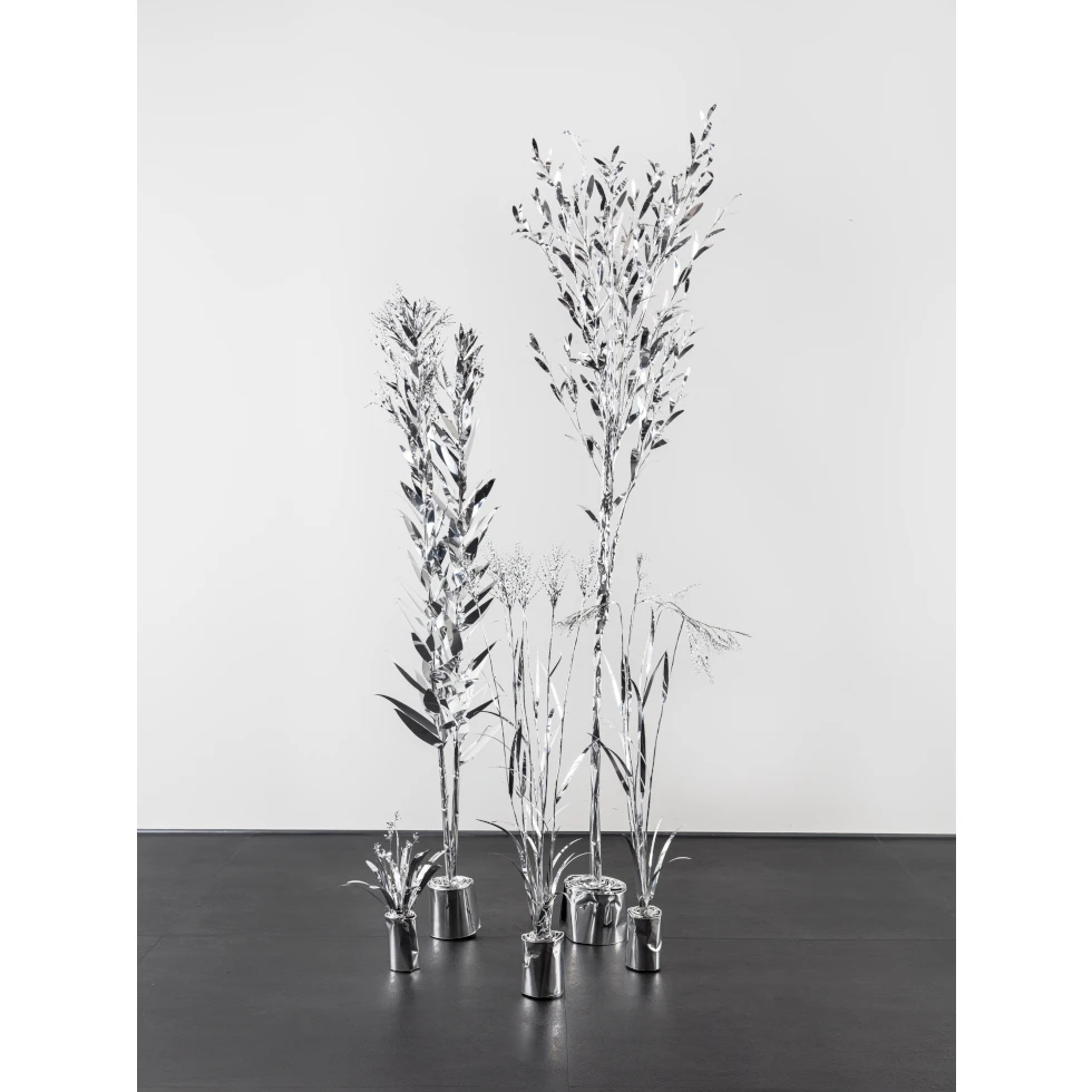 The Aluminium Garden -Structural Studies of Plants- Young Olive