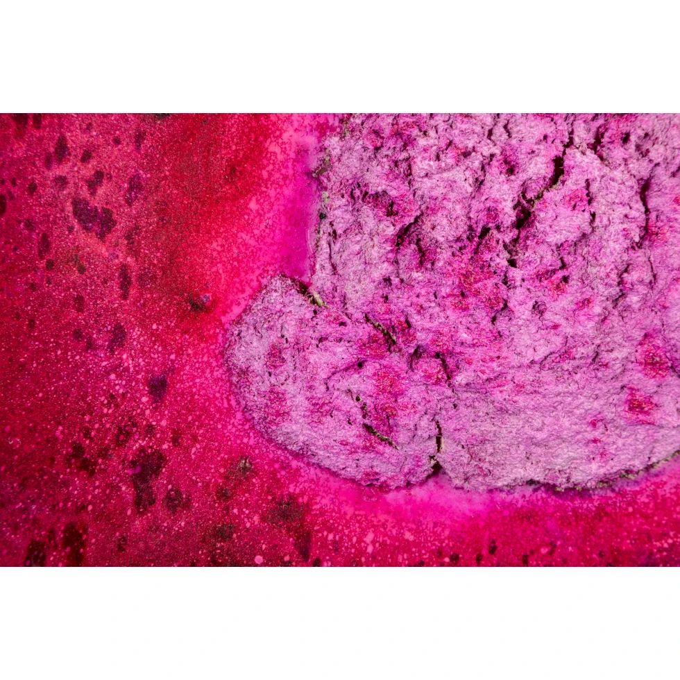 <a href="https://www.ueshima-collection.com/artist-list/320" style="color:inherit">BOSCO SODI</a>:untitled (Urushi Series)