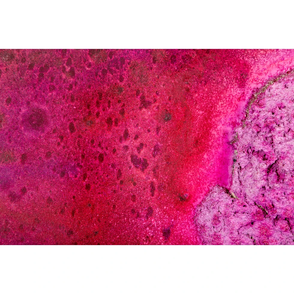 <a href="https://www.ueshima-collection.com/artist-list/320" style="color:inherit">BOSCO SODI</a>:untitled (Urushi Series)