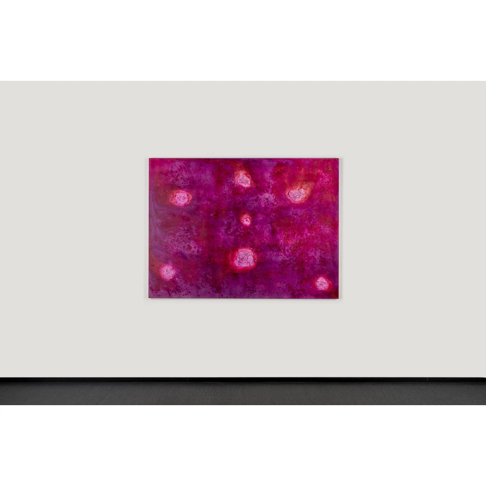 <a href="https://www.ueshima-collection.com/artist-list/320" style="color:inherit">BOSCO SODI</a>:untitled (Urushi Series)