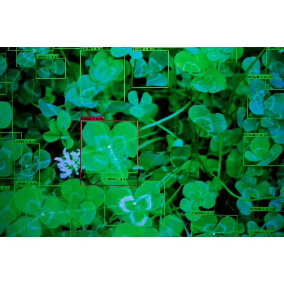 <a href="https://www.ueshima-collection.com/artist-list/332" style="color:inherit">Sputniko!</a>:幸せの四葉のクローバーを探すドローン