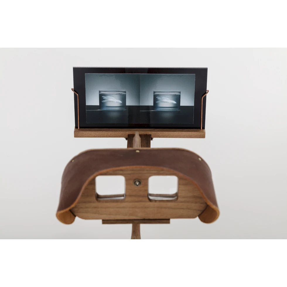 <a href="https://ueshima-collection.com/artist-list/339" style="color:inherit">AKI INOMATA</a>:あの日の空を覚えてる 1932.12.12 / I Remember That Sky 1932.12.12