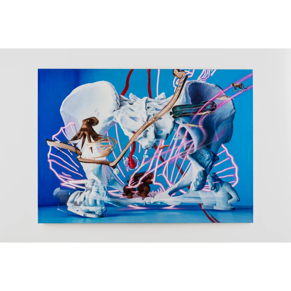 <a href="https://ueshima-collection.com/artist-list/98" style="color:inherit">今津景</a> / <a href="https://ueshima-collection.com/artist-list/98" style="color:inherit">KEI IMAZU</a>:Pelvis