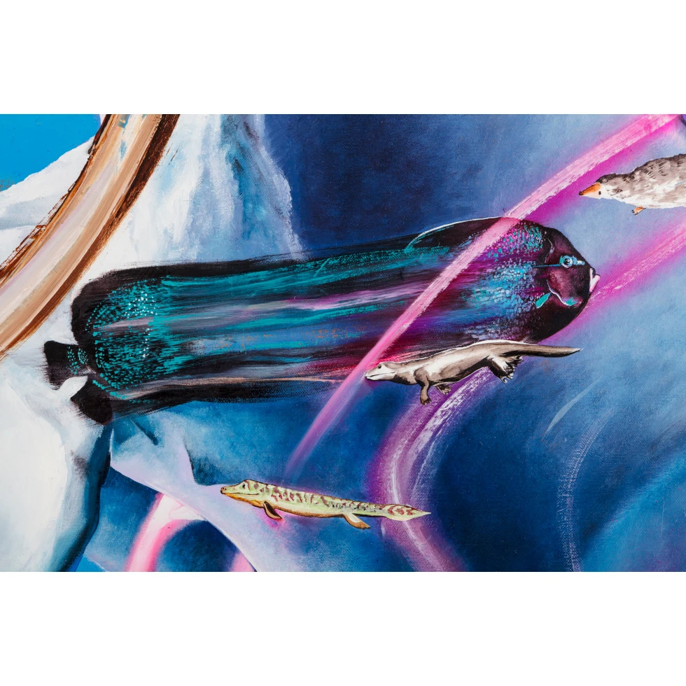 <a href="https://ueshima-collection.com/artist-list/98" style="color:inherit">今津景</a> / <a href="https://ueshima-collection.com/artist-list/98" style="color:inherit">KEI IMAZU</a>:Pelvis