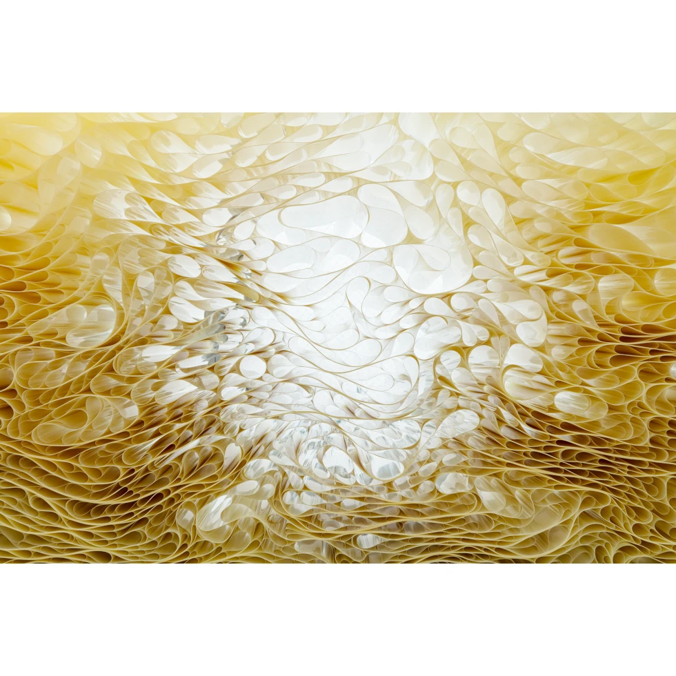 <a href="https://ueshima-collection.com/en/artist-list/344" style="color:inherit">TARA DONOVAN</a>:Untitled