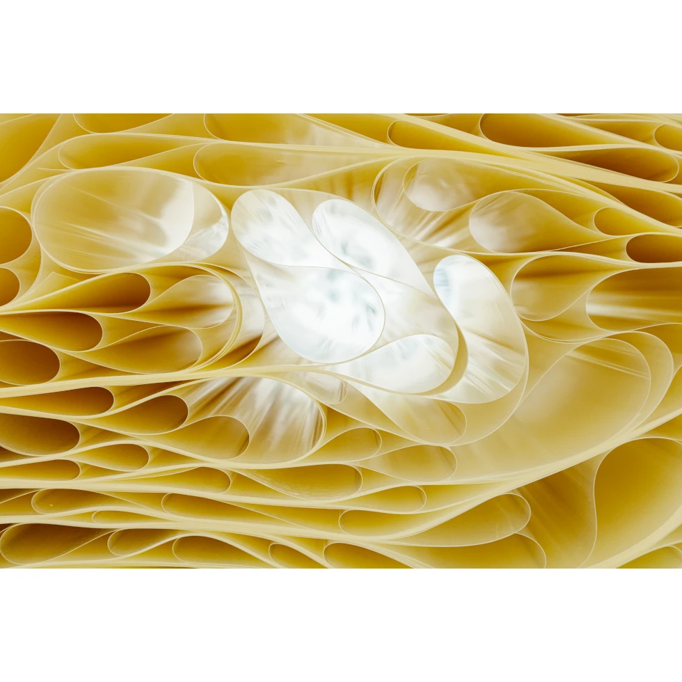 <a href="https://ueshima-collection.com/en/artist-list/344" style="color:inherit">TARA DONOVAN</a>:Untitled