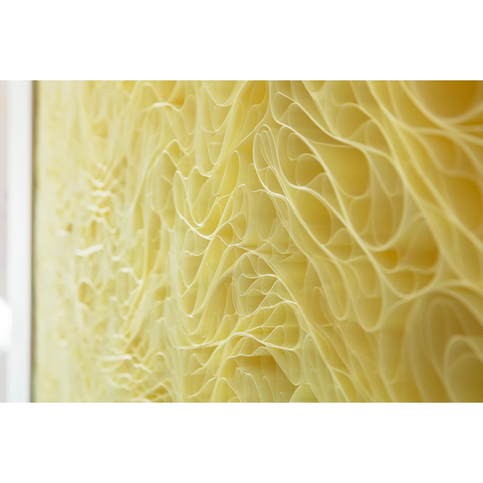 <a href="https://ueshima-collection.com/en/artist-list/344" style="color:inherit">TARA DONOVAN</a>:Untitled