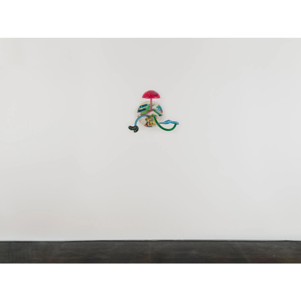Mika Rottenberg:Lampshare (wall piece 5)