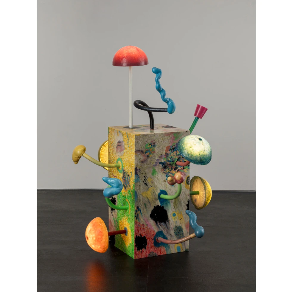 Mika Rottenberg:Lampshare (bx 1.4)