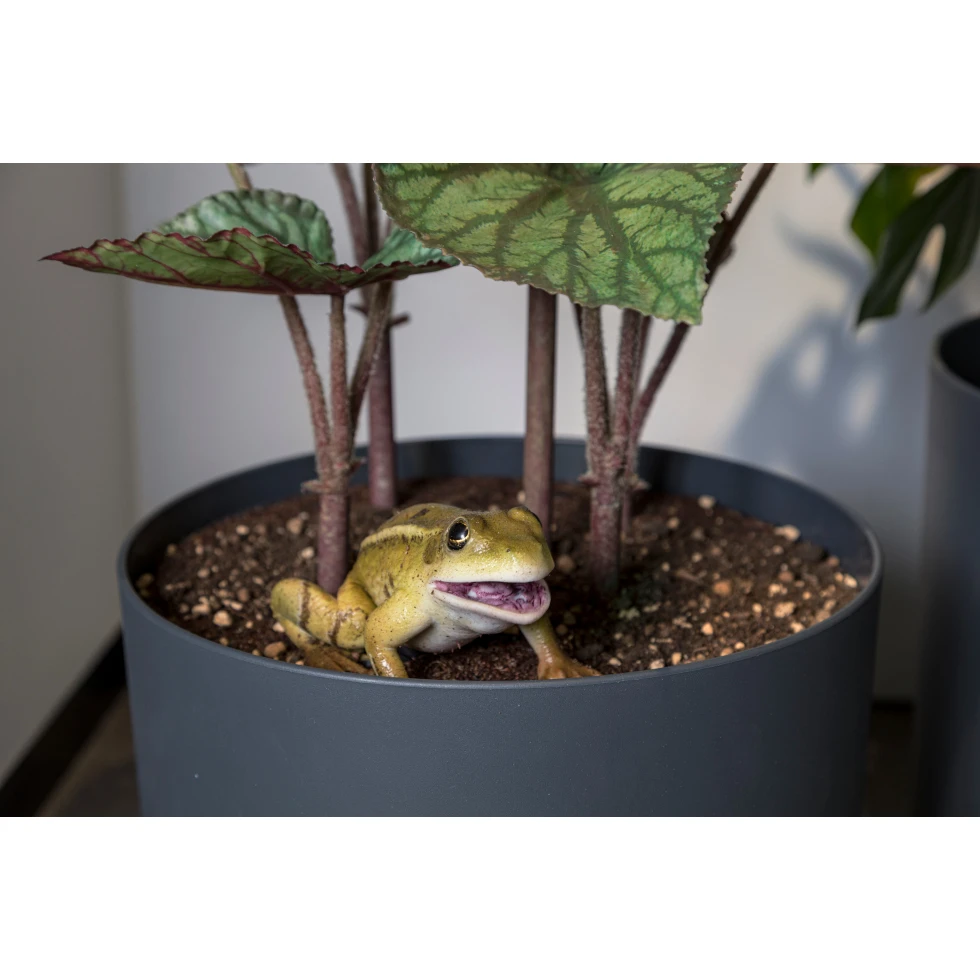 <a href="https://ueshima-collection.com/artist-list/113" style="color:inherit">RYAN GANDER</a>:You Complete Me, or I see things you can’t see (A Frog's Tale)