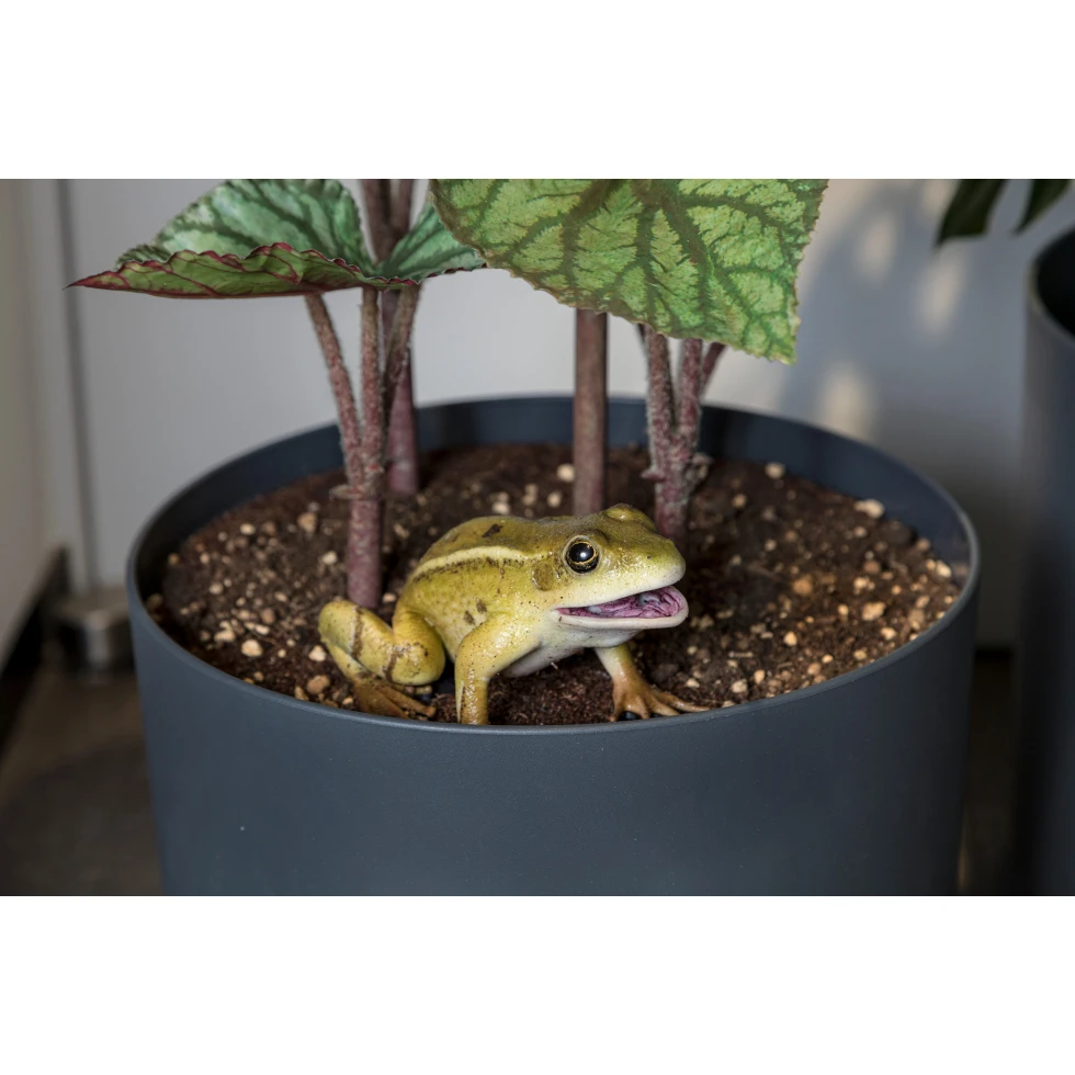 <a href="https://ueshima-collection.com/artist-list/113" style="color:inherit">RYAN GANDER</a>:You Complete Me, or I see things you can’t see (A Frog's Tale)