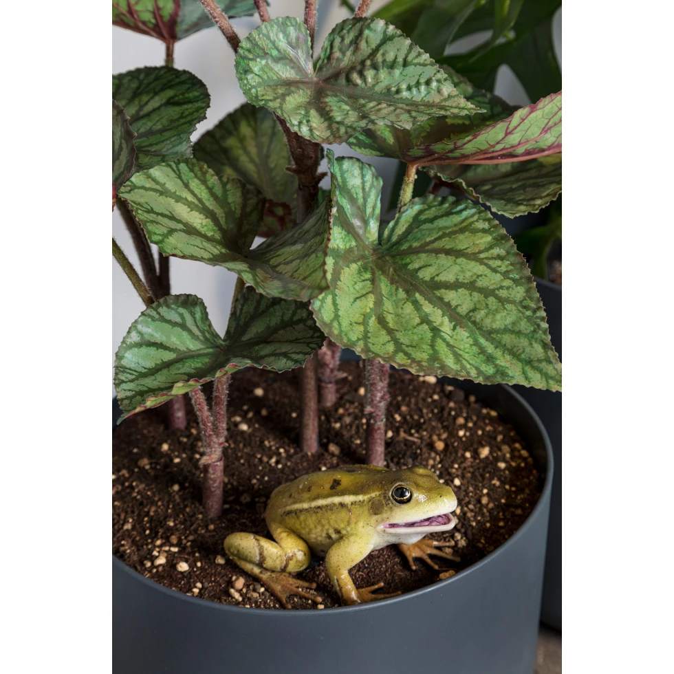 <a href="https://ueshima-collection.com/artist-list/113" style="color:inherit">RYAN GANDER</a>:You Complete Me, or I see things you can’t see (A Frog's Tale)