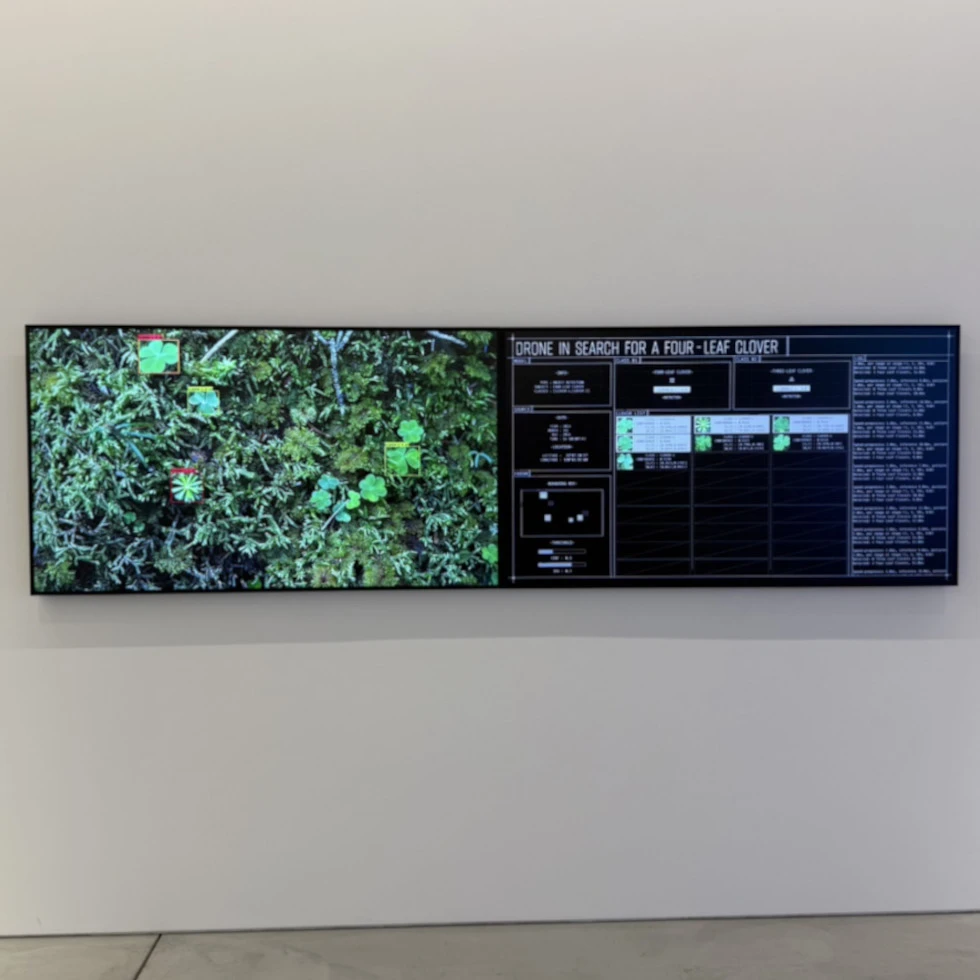 スプツニ子！の作品「幸せの四葉のクローバーを探すドローン」