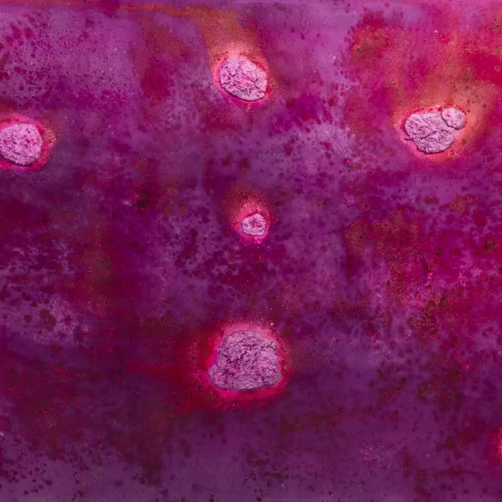 ボスコ・ソディの作品